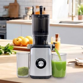 Cold juicer, chewable juicer, wide feeding trough for easy cleaning, suitable for whole vegetables and fruits (Option: Silver)